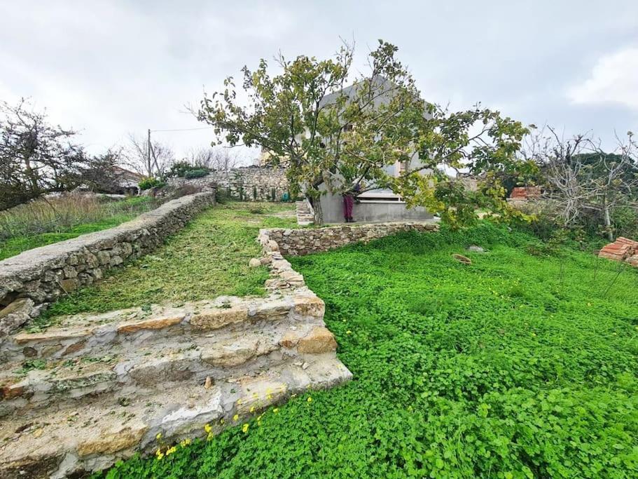 Hidden Gem Of 1900, 7Km From Sea Villa Potamos  Eksteriør bilde